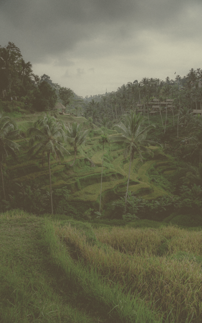 Things to Do in Ubud